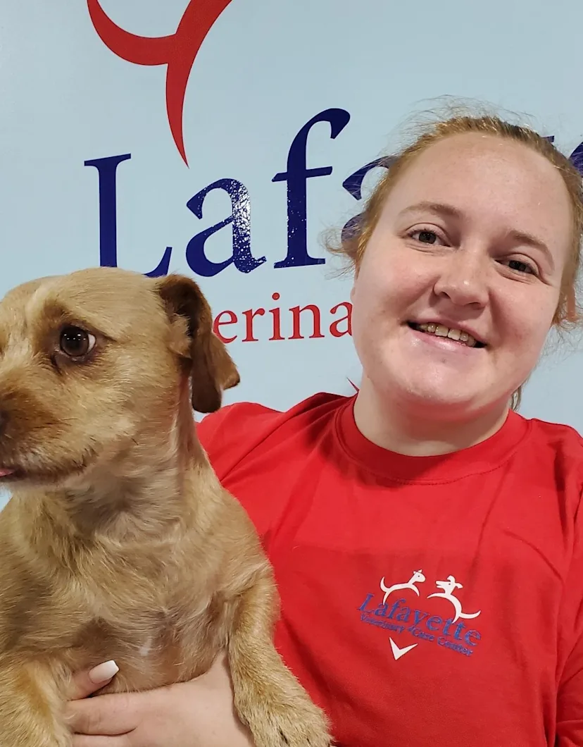 Pet Care Specialist Petsmart Job Description Pet Care Specialist Petsmart Job Description